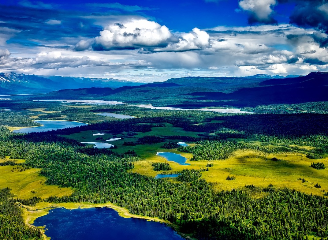 Slideshow image