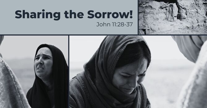 Sharing the Sorrow