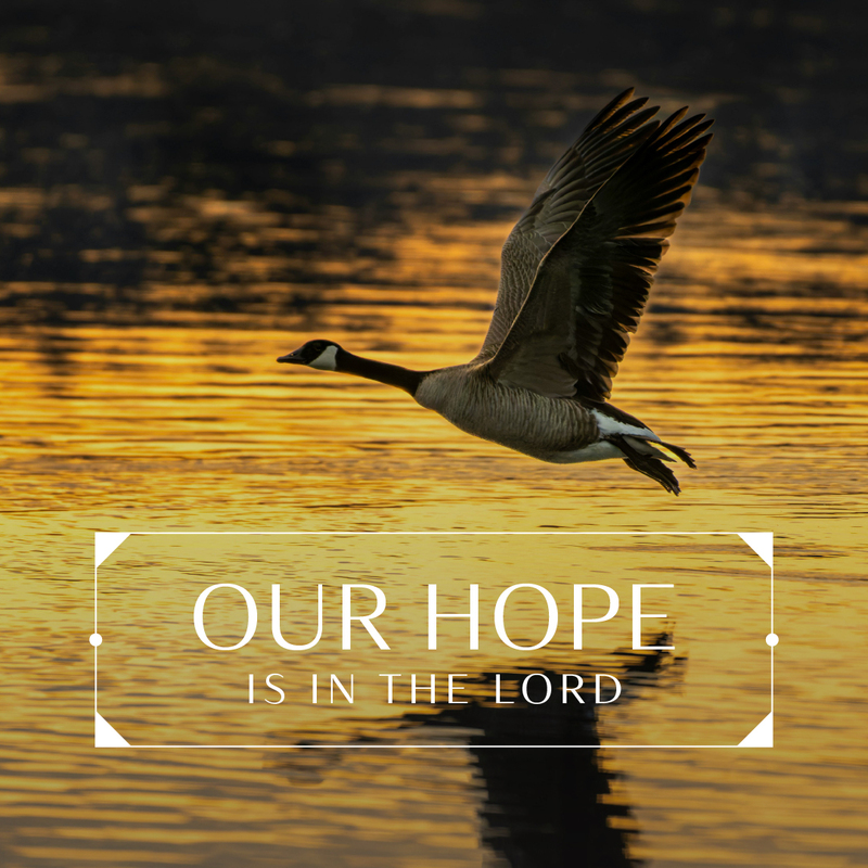 Our Hope IS In the Lord