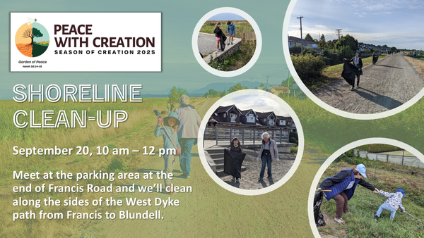 Shoreline Clean-Up