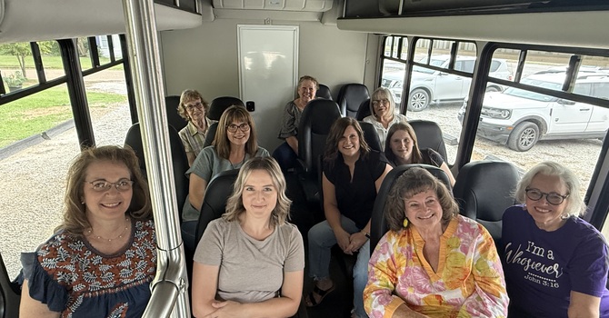 Ladies' Night Out image