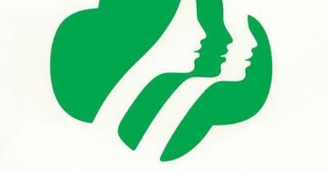 Girl Scout troop 22336