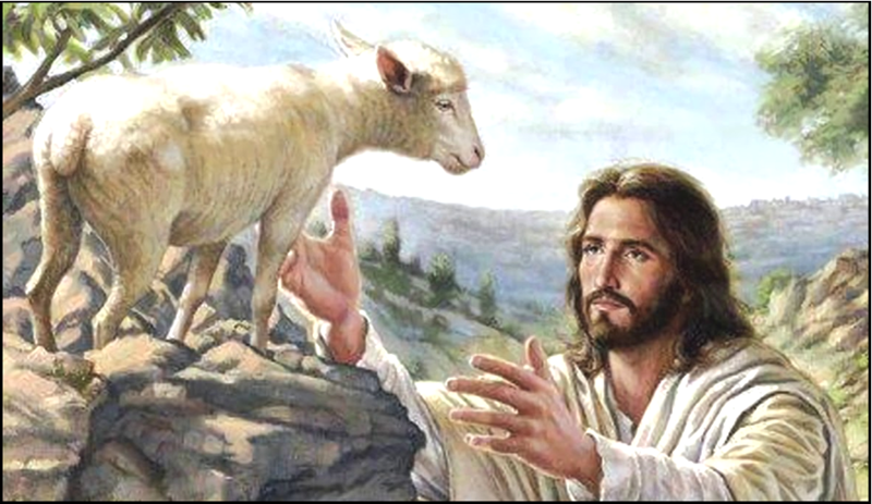 Fourteenth Sunday after Pentecost