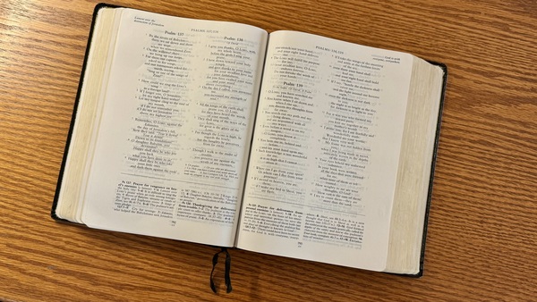 Feasting on the Word Resumes