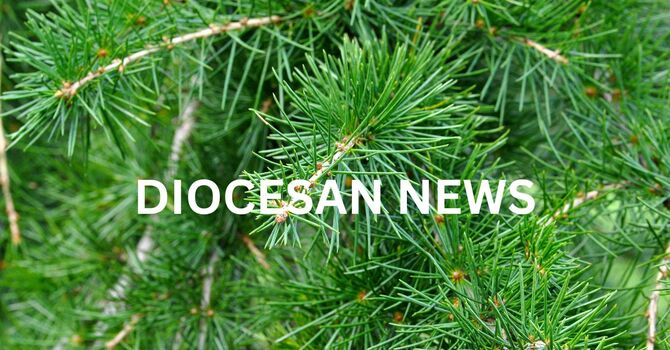 Diocesan News
