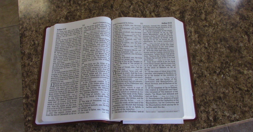 Bible Skills