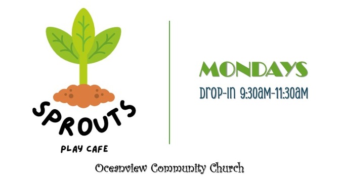 Sprouts Play Cafe