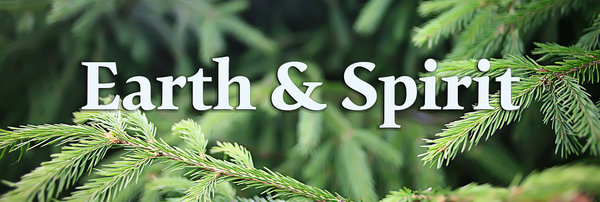 Conversation to Care for Creation