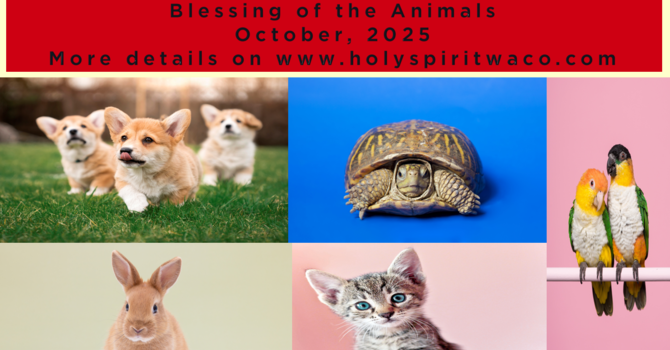 Blessing of the Animals