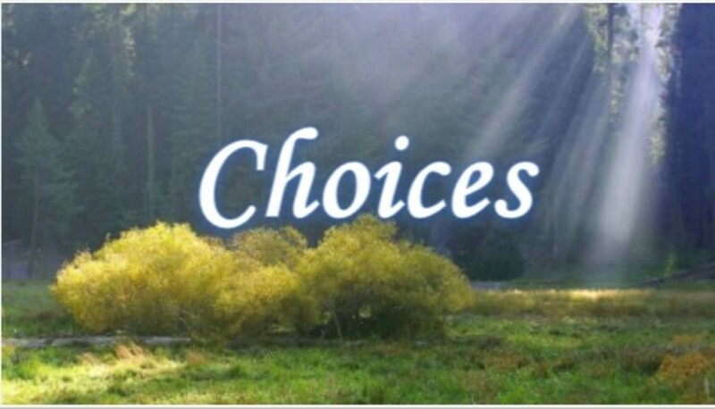 Lesson 4: Choices