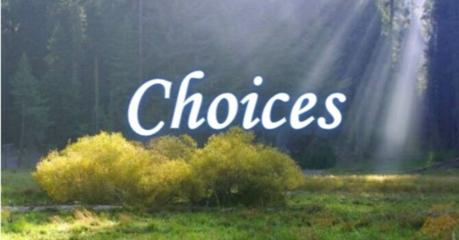 Lesson 4: Choices
