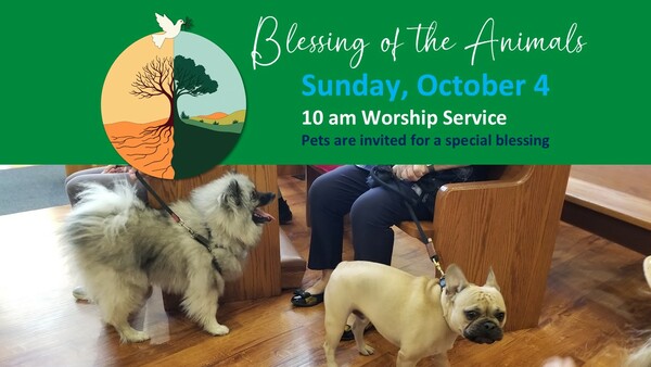 Blessing of the Animals