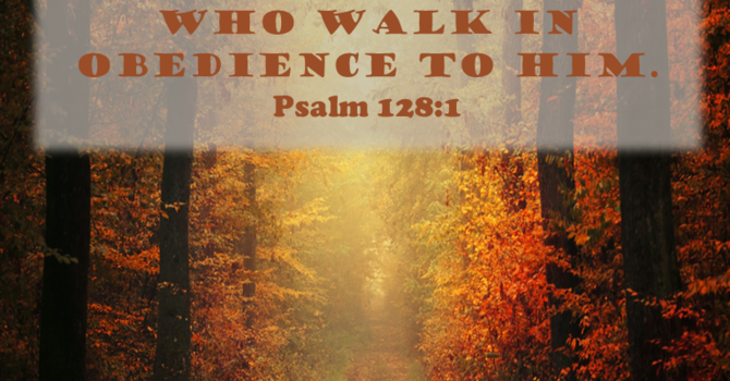Walk in Obedience