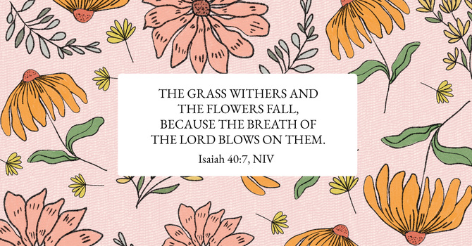 Bulletin - Sunday September 14 image