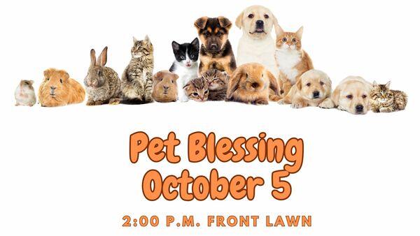 Pet Blessing