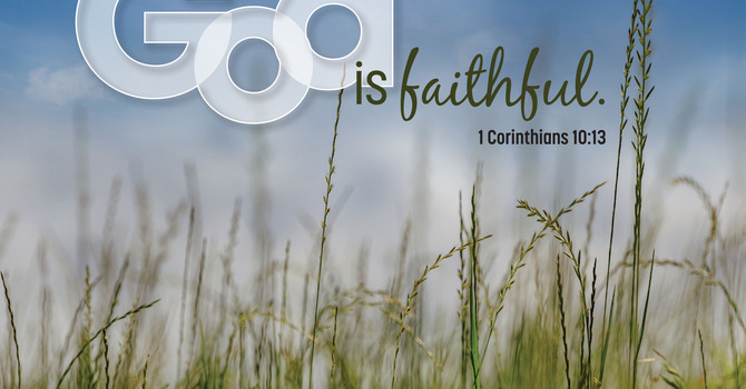 Stewardship image
