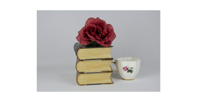 Zoom Cluster Book Study