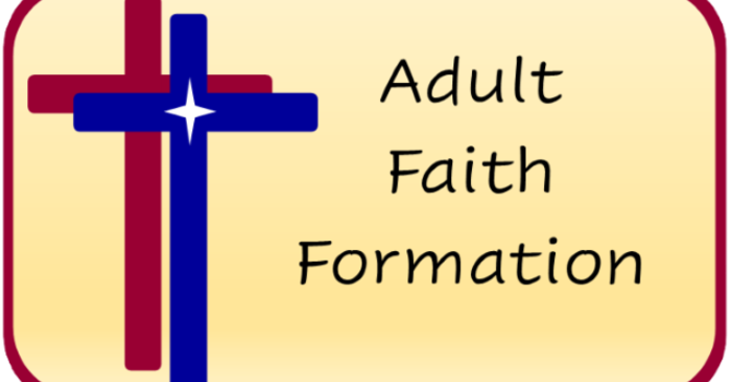Adult Formation