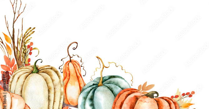 Pumpkin Patch