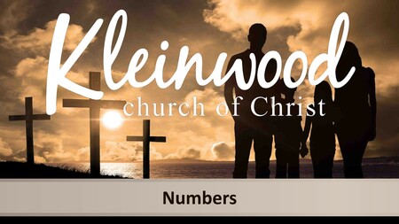 Numbers (2025)