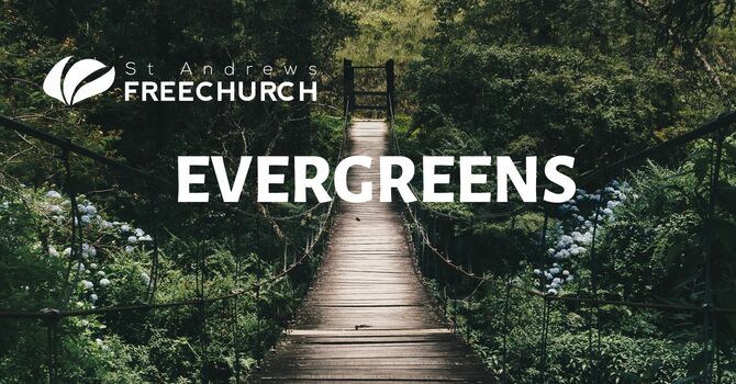Evergreens