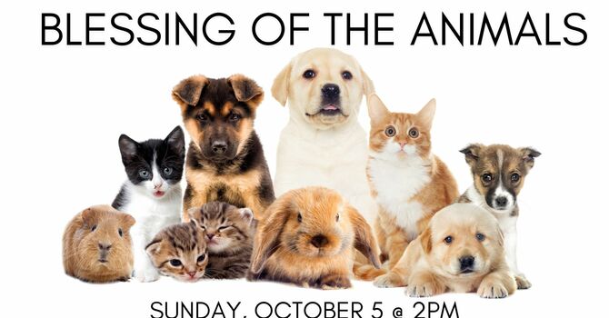 Blessing of the Animals