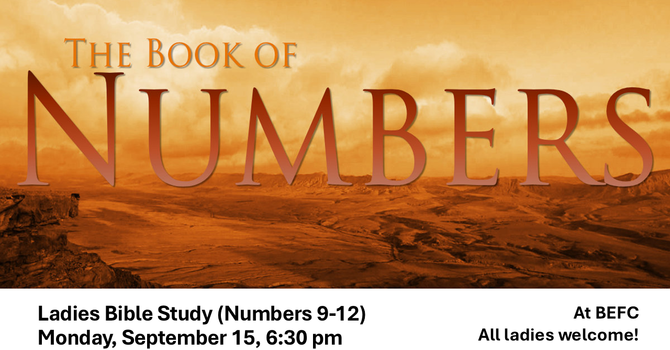 Ladies Bible Study