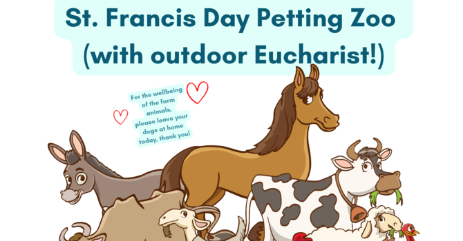 St Francis Day Petting Zoo