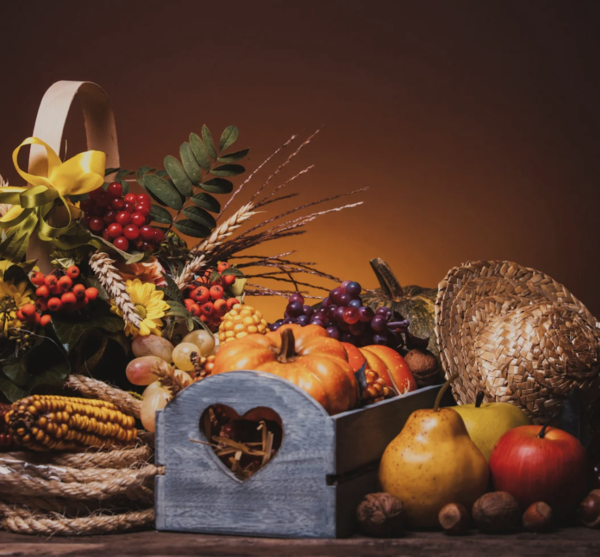 Thanksgiving Financial Contributions