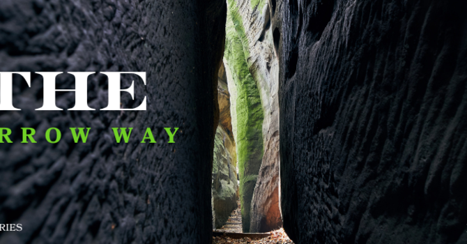 Do Not Worry - Matthew 6:25-34