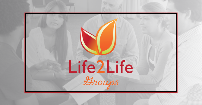 First Look at Life2Life Groups