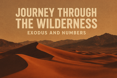 Journey Through the Wilderness