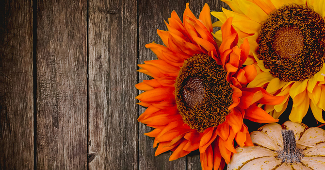 Gratitude as prayer in action