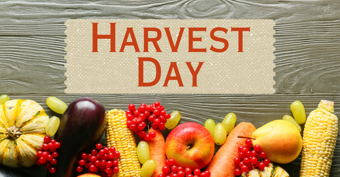 Harvest Sunday image