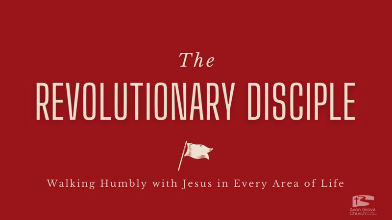 Revolutionary Disciple "Abide"