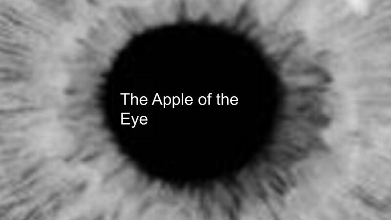 Apple of the Eye