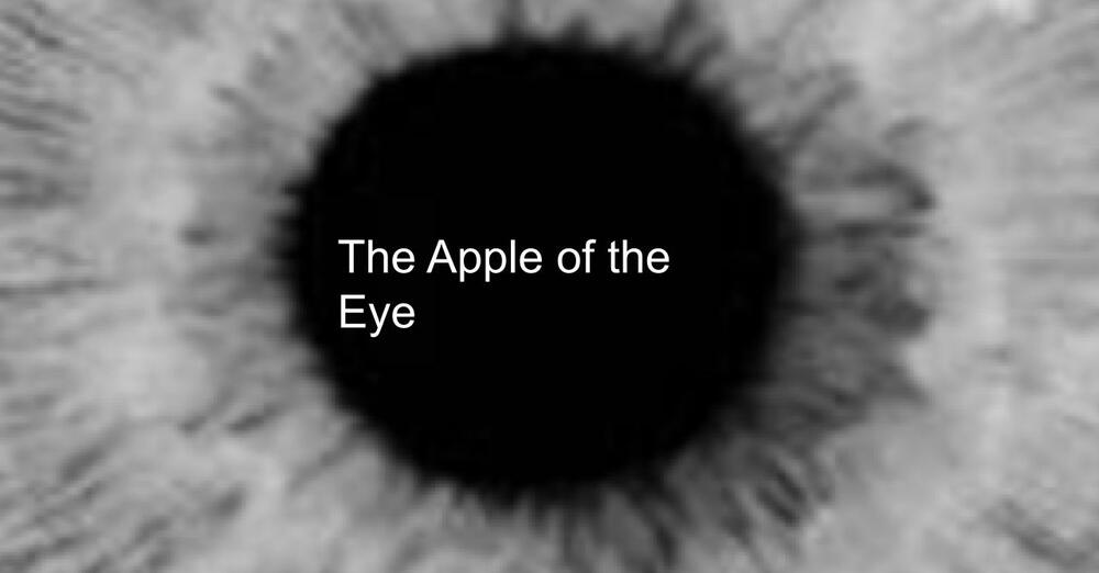 Apple of the Eye