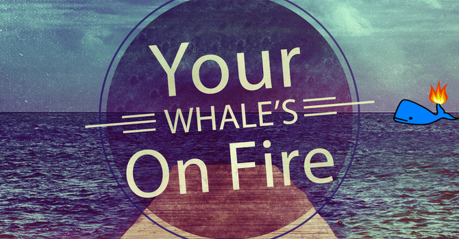 Your Whale is On Fire