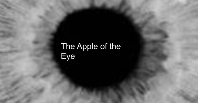 Apple of the Eye