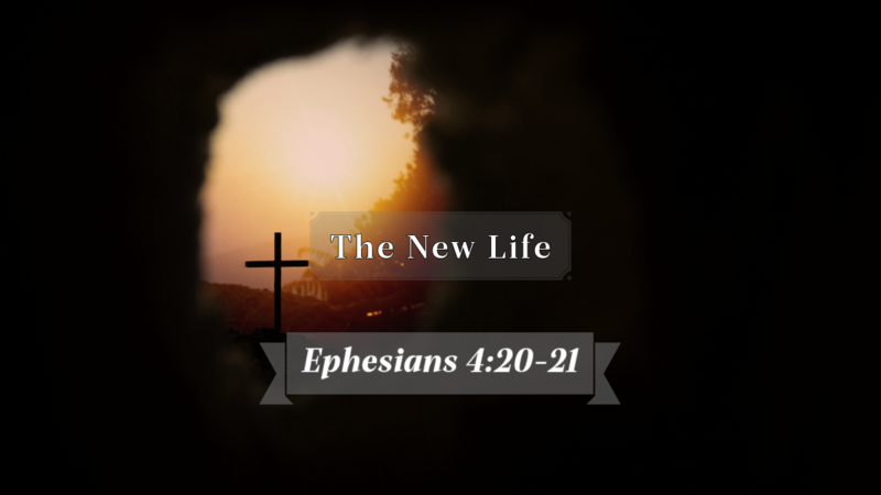 The New Life