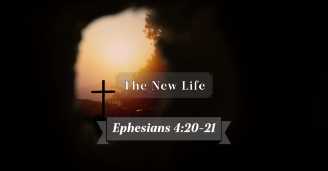 The New Life