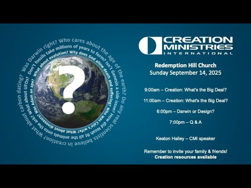 Creation: What's the Big Deal?