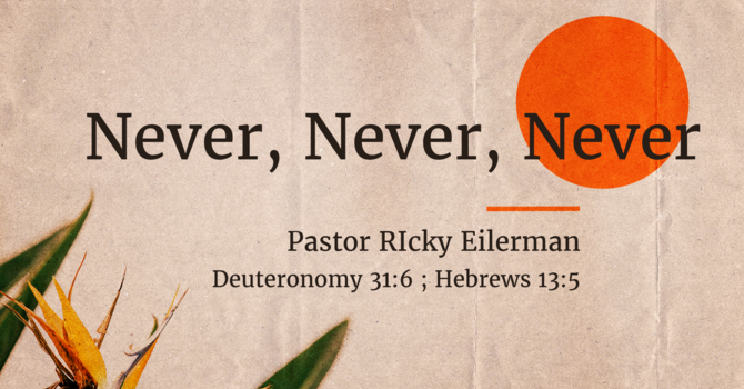 Never, Never, Never