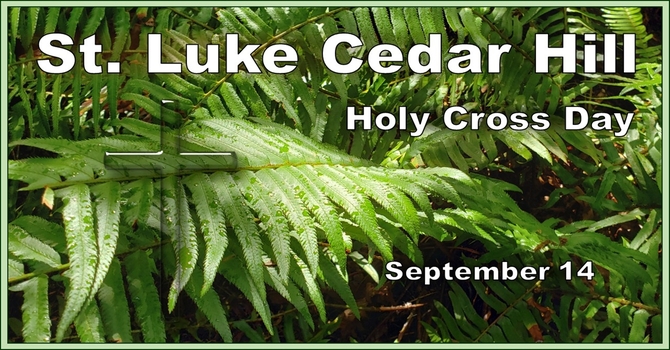 A Recording of this Sunday's Service (September 14th) is Now Available