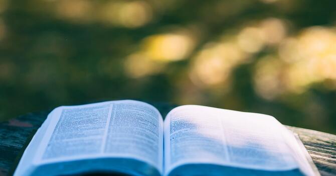 Monday Book Study image