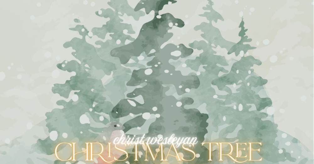 2nd Annual Christmas Treee Lighting