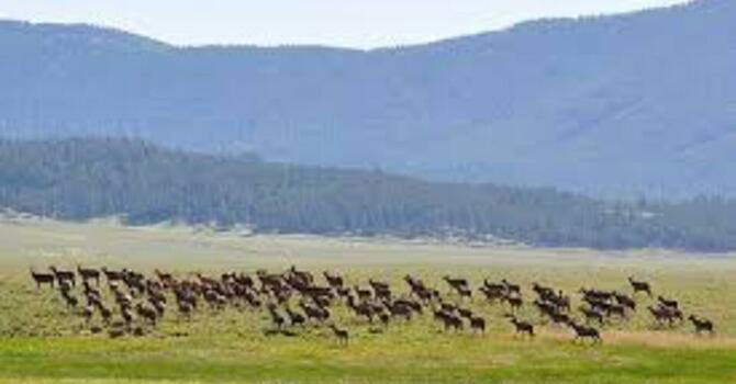 Unity Explorers At Valles Caldera