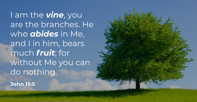 John 15:5 image