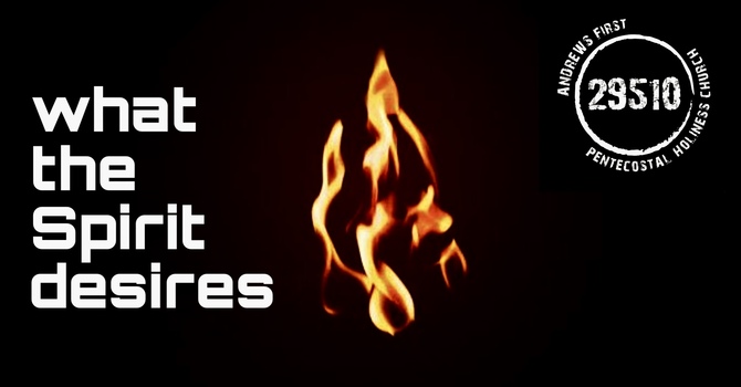 what the Spirit desires