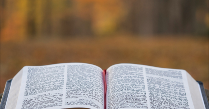 Let the Word Do the Work: 1 Timothy 4:11-16